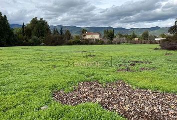 Parcela en  Colina, Chacabuco