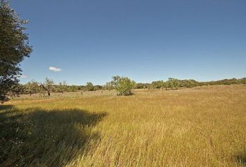 Terreno en  Salines (ses), Balears (illes)