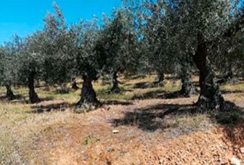 Terreno en  Aliseda, Cáceres Provincia