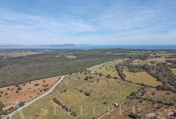 Terreno en  Petra, Balears (illes)