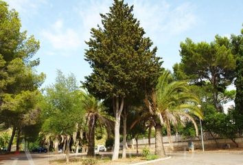 Terreno en  Mal Pas - Bonaire, Balears (illes)