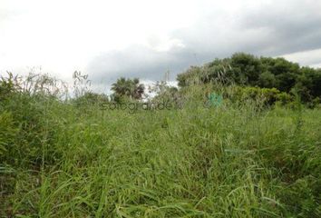 Terreno en  Sotogrande, Cádiz Provincia