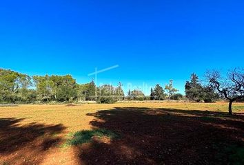 Terreno en  Algaida, Balears (illes)