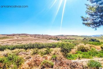 Terreno en  Pulpi, Almería Provincia