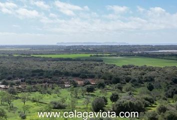 Terreno en  Salines (ses), Balears (illes)