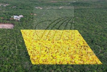 Lote de Terreno en  Coba, Tulum