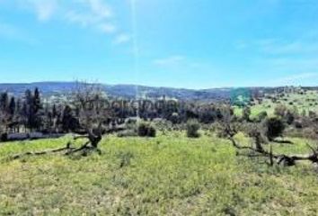 Chalet en  San Martin Del Tesorillo, Cádiz Provincia