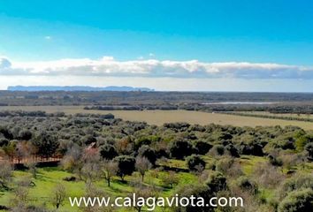 Terreno en  Salines (ses), Balears (illes)