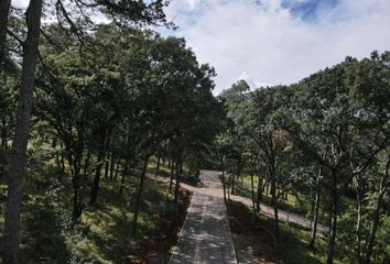 Lote de Terreno en  Tapalpa, Tapalpa, Tapalpa, Jalisco