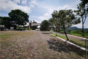 Lote de Terreno en  Camino Real, Sahuayo De Morelos