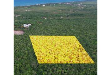 Lote de Terreno en  La Veleta, Tulum