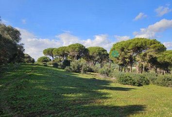 Chalet en  San Roque, Cádiz Provincia