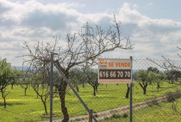 Terreno en  Sineu, Balears (illes)