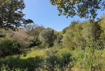 Terreno en  San Roque, Cádiz Provincia