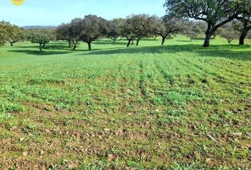 Terreno en  Villanueva De Los Castillejos, Huelva Provincia