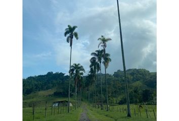 Villa-Quinta en  San Peregrino, Manizales