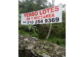 Casa en  El Colegio, Cundinamarca