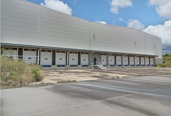 Bodega en  San Diego, Centro, Ibague