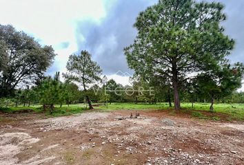 Lote de Terreno en  Calle Guadalupe Victoria 66, Centro, Tapalpa, Jalisco, 49340, Mex