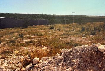 Lote de Terreno en  Cienega De Flores Centro, Ciénega De Flores