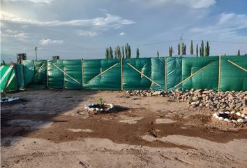 Terrenos en  Luján De Cuyo, Mendoza