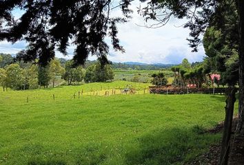 Villa-Quinta en  Santa Isabel, Facatativa