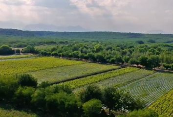 Lote de Terreno en  Calle Simón Treviño, El Bajío, Montemorelos, Nuevo León, Mex