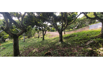 Lote de Terreno en  Anatolí, La Mesa