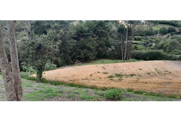 Lote de Terreno en  El Carmen De Viboral, Antioquia