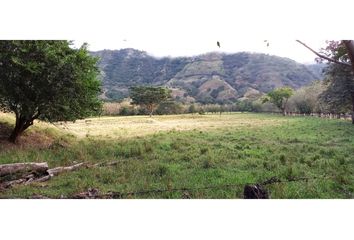 Lote de Terreno en  Anzá, Antioquia