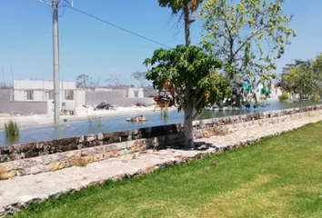 Lote de Terreno en  Chicxulub Pueblo, Yucatán