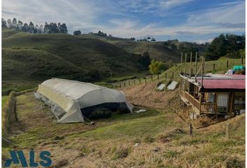 Lote de Terreno en  El Carmen De Viboral, Antioquia