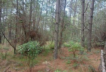 Lote de Terreno en  Tapalpa, Tapalpa, Tapalpa, Jalisco