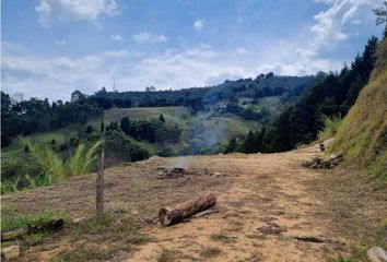 Lote de Terreno en  Las Violetas, Medellín