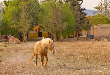 Chalet en  La Pinilla, Murcia Provincia