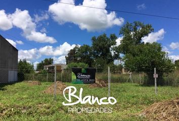 Terrenos en  Las Orquídeas, Partido Del Pilar