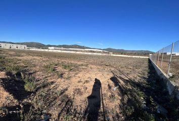 Terreno en  Valls, Tarragona Provincia