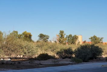 Lote de Terreno en  Parque Industrial Lagunero, Gómez Palacio