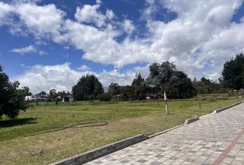 Terreno Comercial en  Puembo, Quito