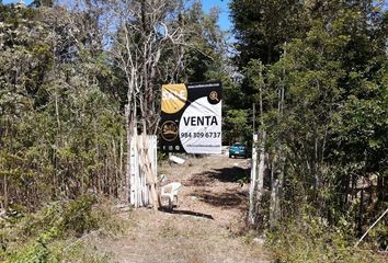 Lote de Terreno en  Coba, Tulum