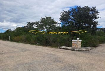 Lote de Terreno en  Chicxulub Pueblo, Yucatán