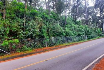 Lote de Terreno en  Circuito A Avándaro, Valle De Bravo, México, 51226, Mex