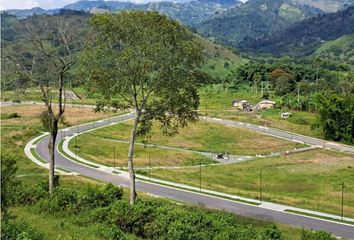 Lote de Terreno en  El Rosario, Manizales