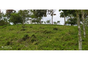 Lote de Terreno en  Cerritos, Pereira