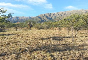 Terrenos en  Merlo, San Luis