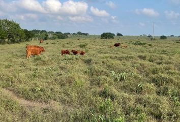 Rancho en  Soto La Marina, Tamaulipas