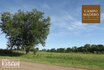 Terrenos en  Ibarlucea, Santa Fe