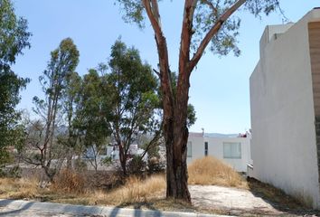 Lote de Terreno en  Villas Las Palmas, Tehuacán