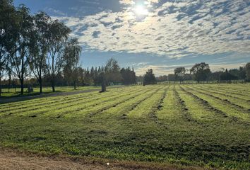 Terrenos en  La Cuesta, Partido Del Pilar