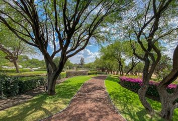 Lote de Terreno en  Paseo Jacarandas, San Miguel De Allende, Guanajuato, 37897, Mex